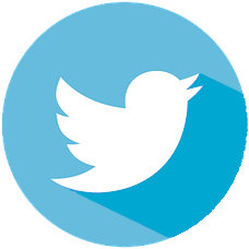 Twitter NLY logo
